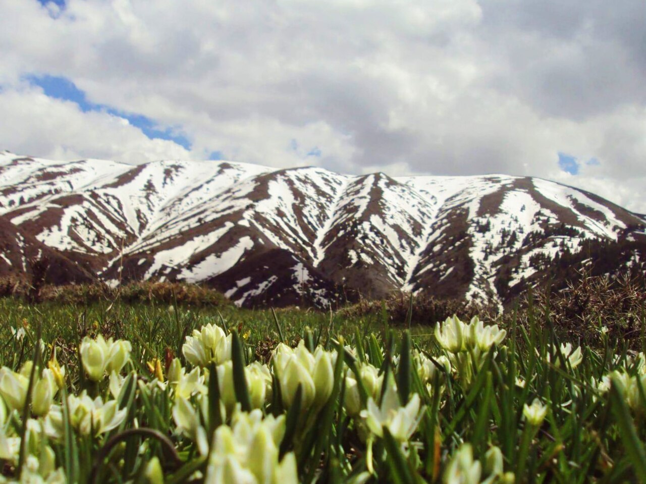 Ergan Dağı’na Ulaşım Planı
